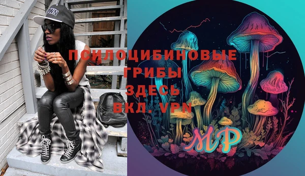 дживик Кинешма