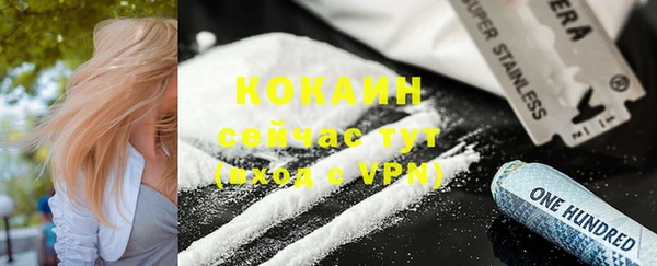 дживик Кинешма